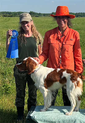 Harley - Win at the Derby Stakes MN Brittany Club Trial June 2023