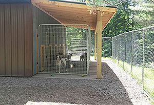Kennel Inside Outside Runs and Play Area